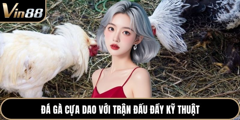 Đá gà cựa dao với trận đấu đầy kỹ thuật