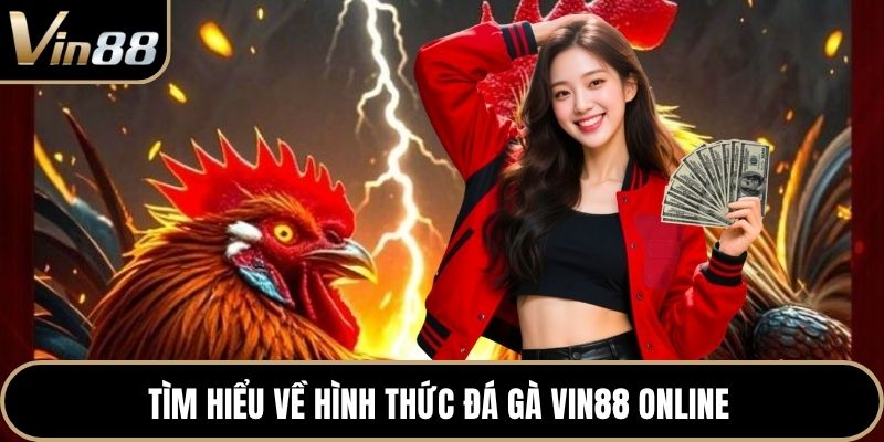 Tìm hiểu về hình thức đá gà VIN88 online 