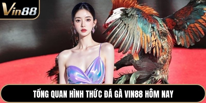 Tổng quan hình thức đá gà VIN88 hôm nay